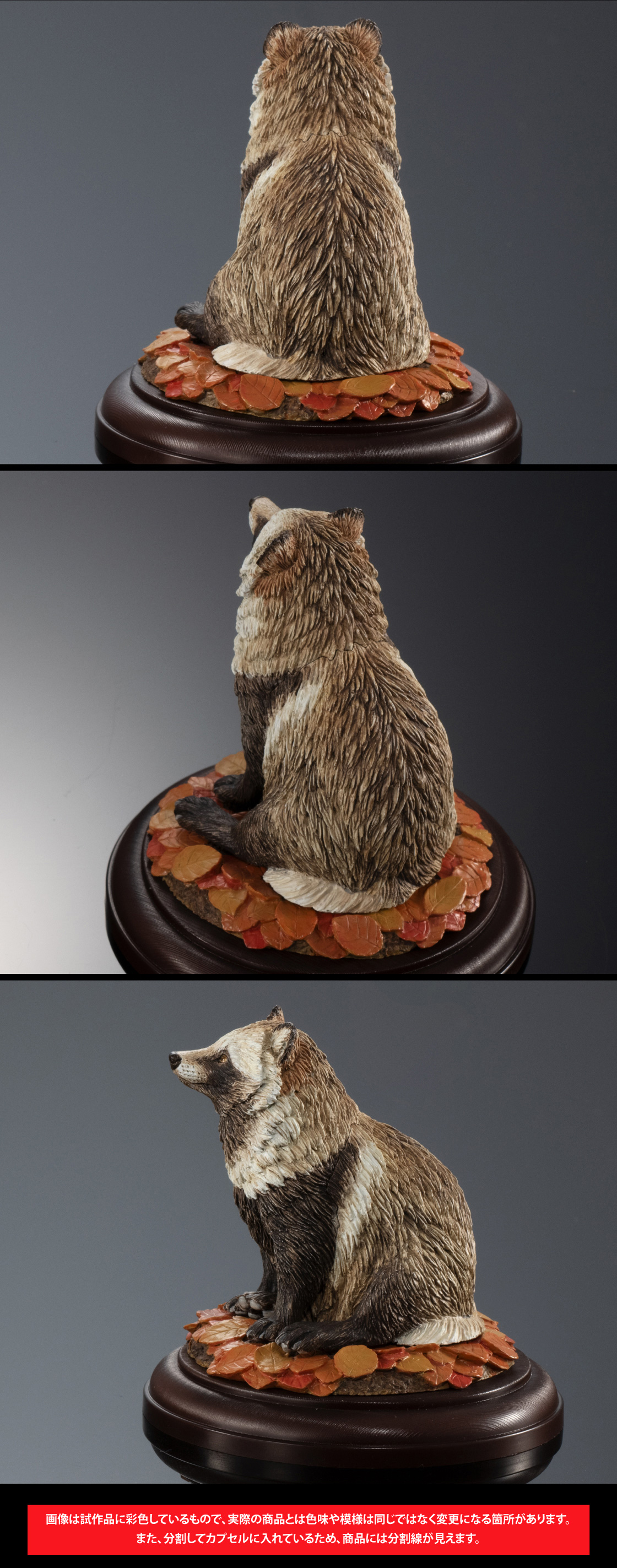 狸