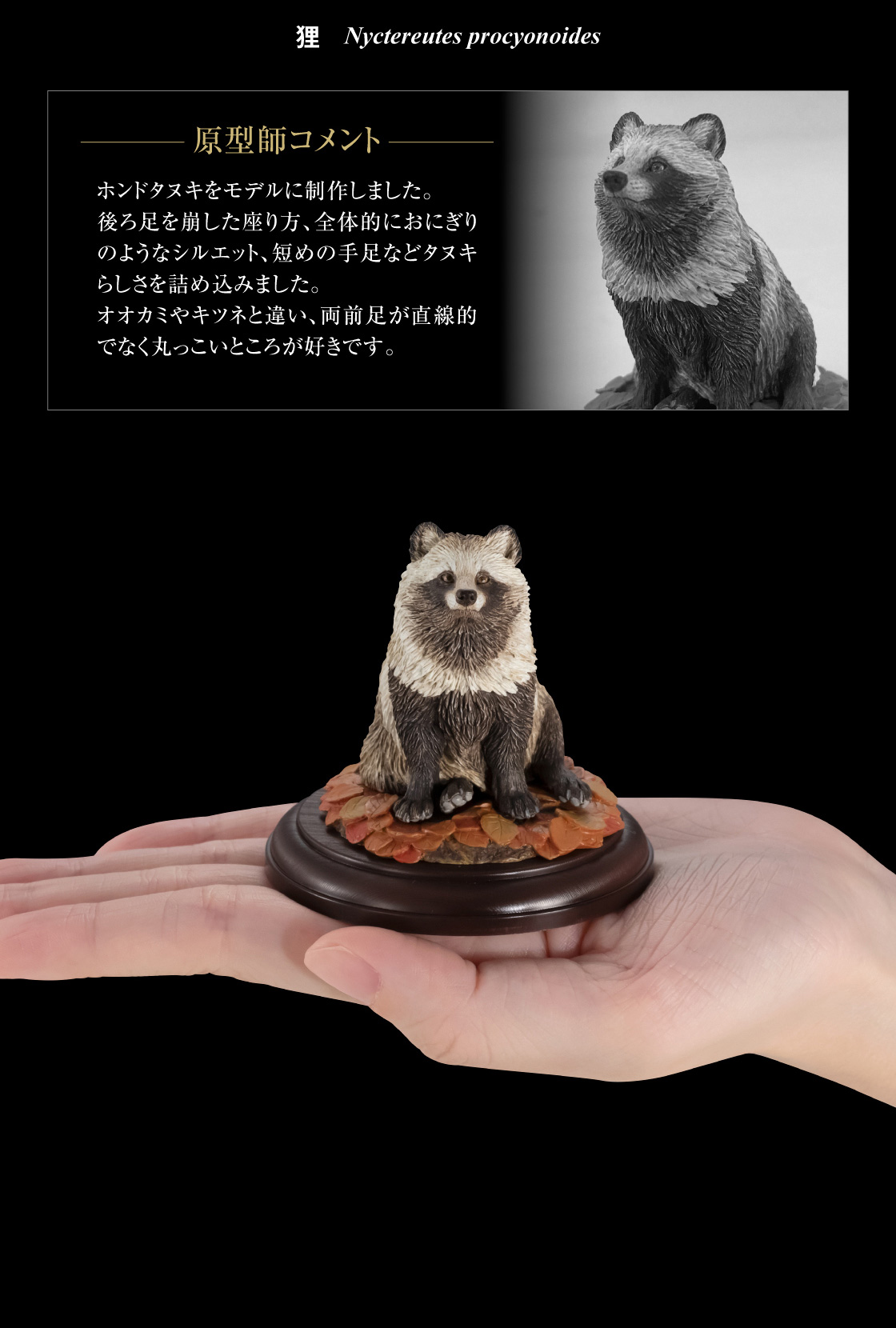 狸 原型師コメント
