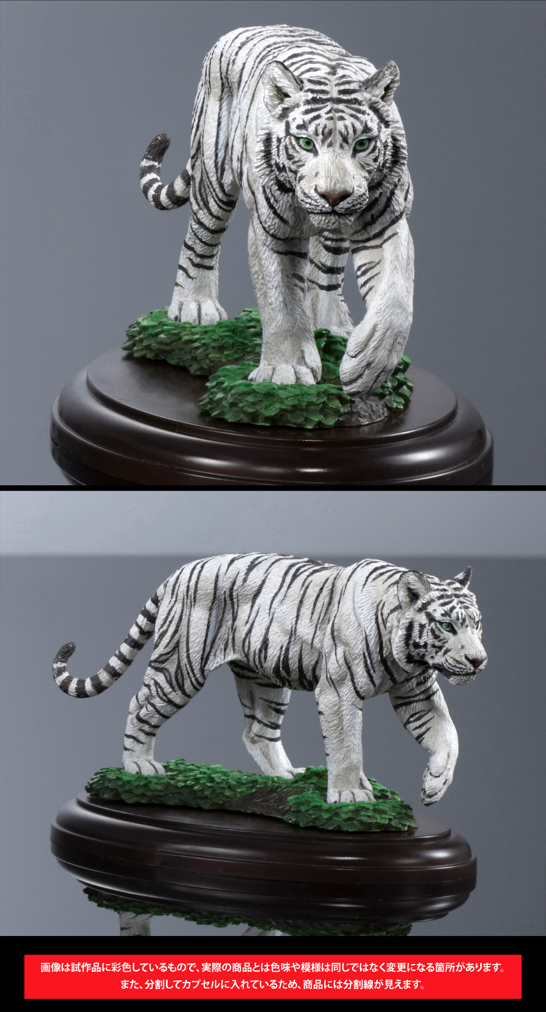 ホワイトタイガー 画像は試作品に彩色しているもので、実際の商品とは色味や模様は同じではなく変更になる箇所があります。また、分割してカプセルに入れているため、商品には分割線が見えます。