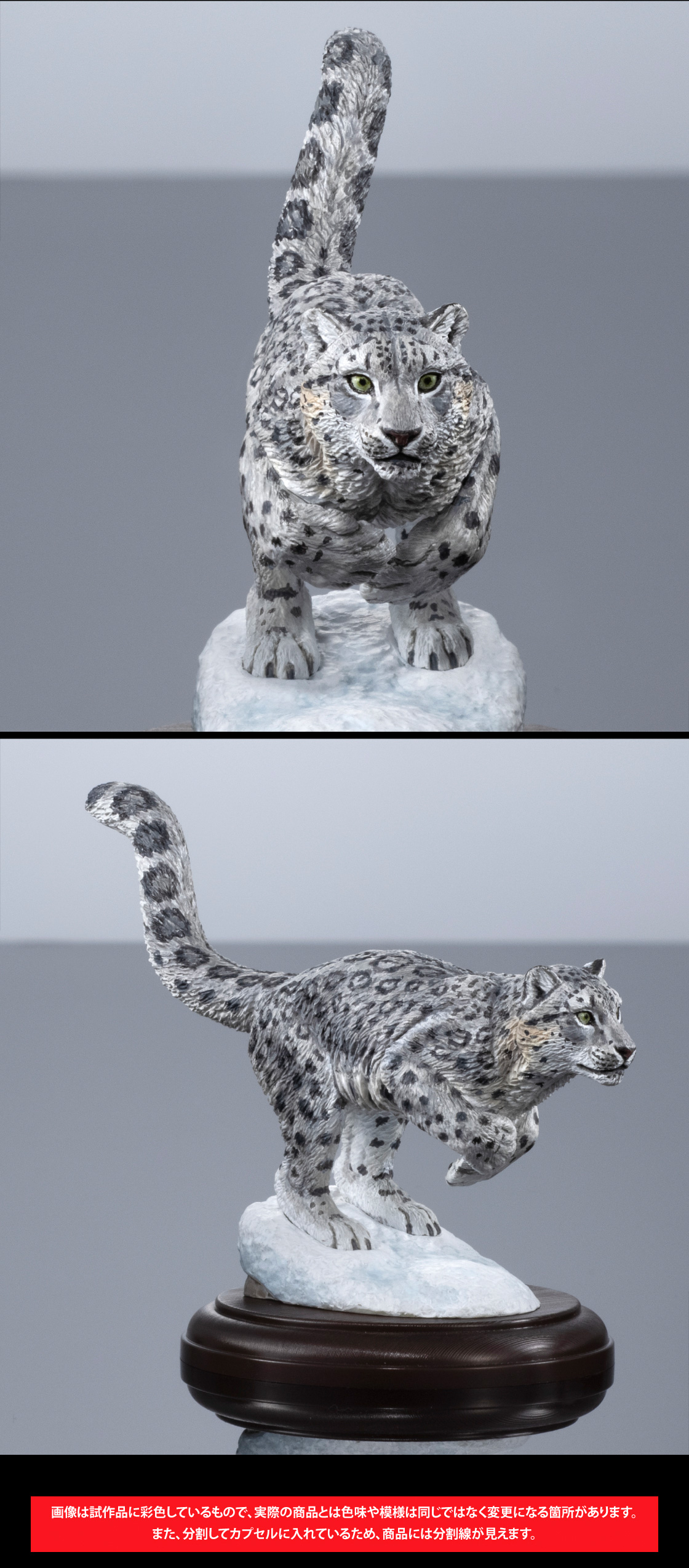 ユキヒョウ 画像は試作品に彩色しているもので、実際の商品とは色味や模様は同じではなく変更になる箇所があります。また、分割してカプセルに入れているため、商品には分割線が見えます。