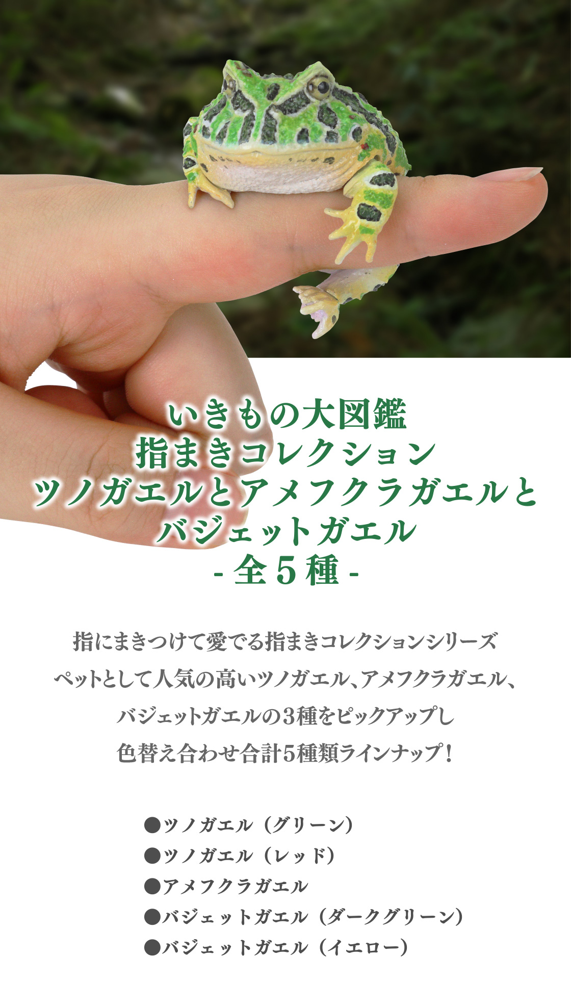 いきもの大図鑑指まきコレクション ツノガエルとアメフクラガエルとバジェットガエル -全5種-