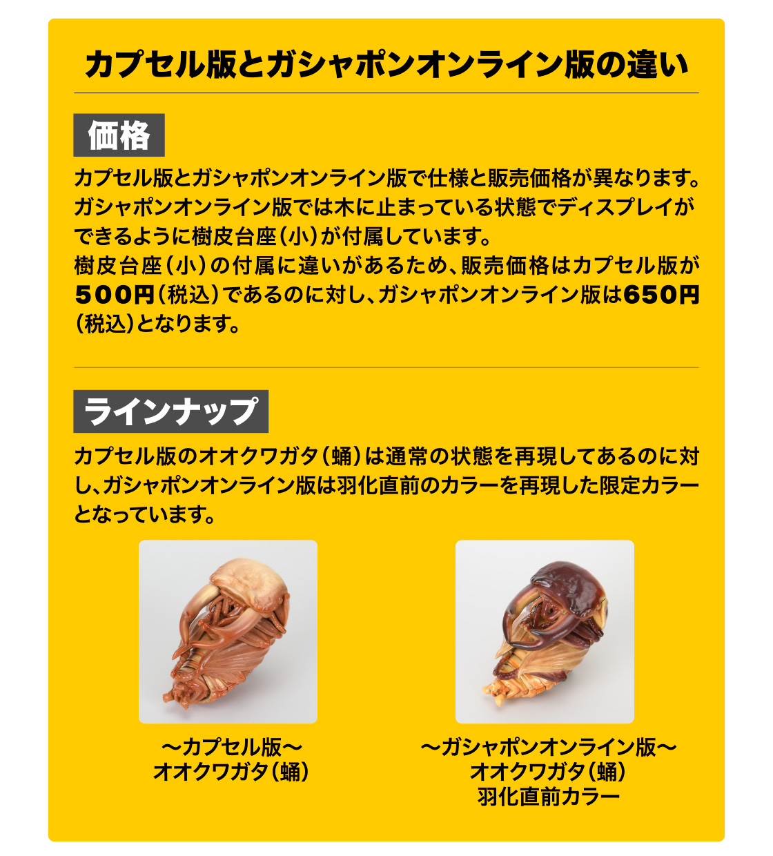 カプセル版とガシャポンオンライン版の違い