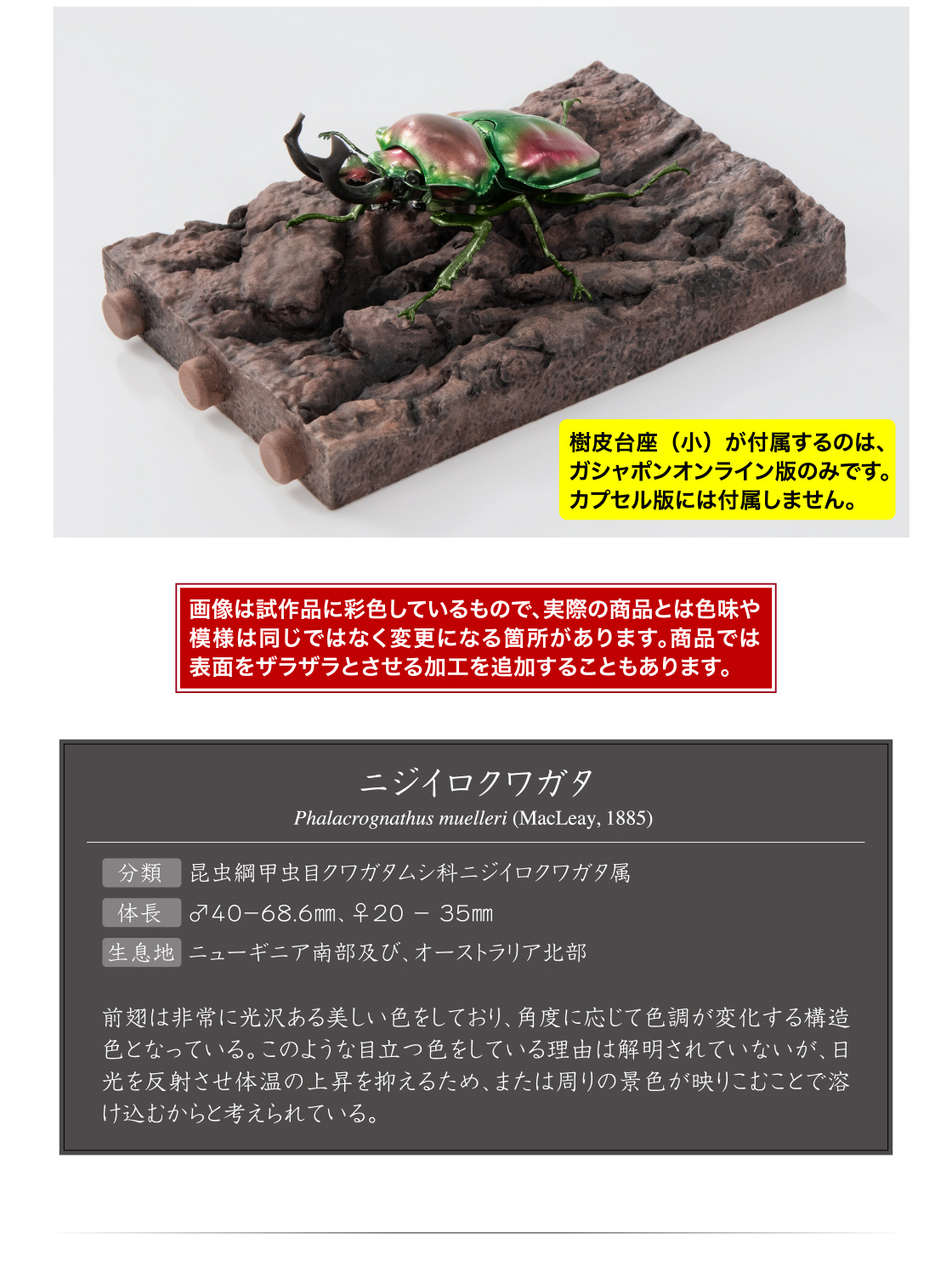 樹皮台座(小)が付属するのは、ガシャポンオンライン版のみです。カプセル版には付属しません。