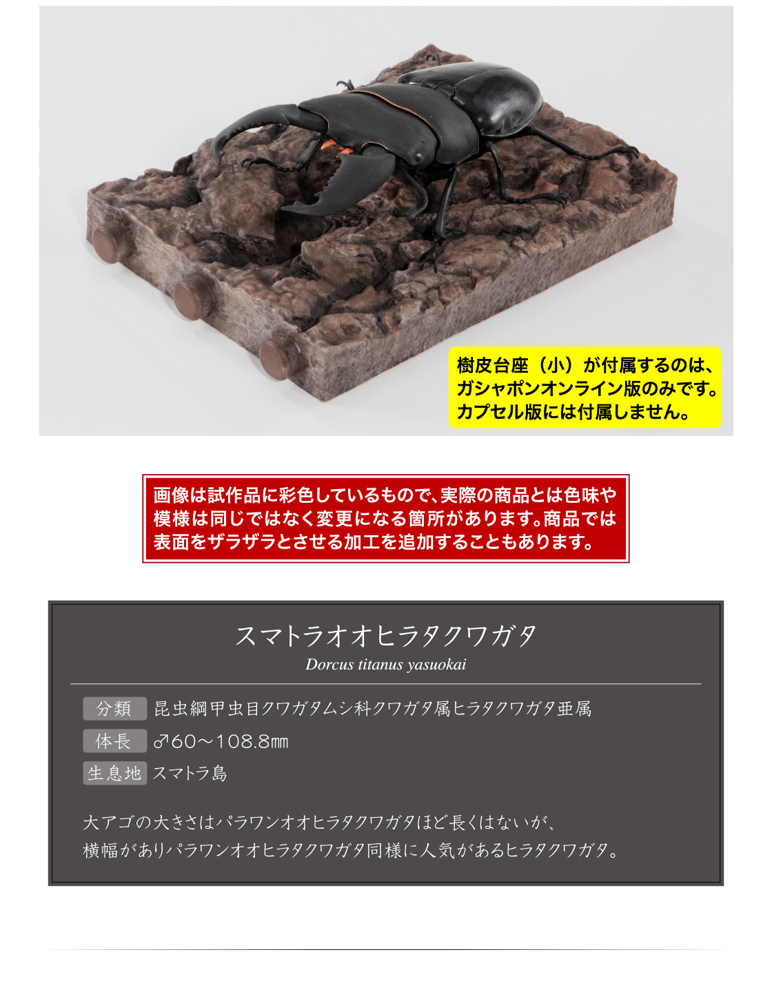 樹皮台座(小)が付属するのは、ガシャポンオンライン版のみです。カプセル版には付属しません。