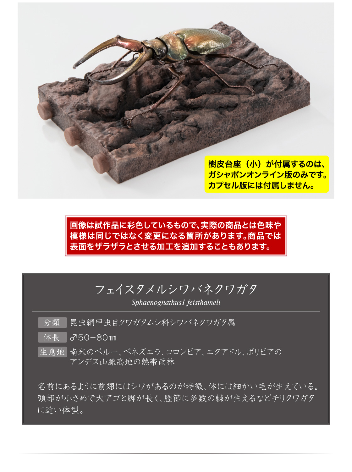 樹皮台座(小)が付属するのは、ガシャポンオンライン版のみです。カプセル版には付属しません。