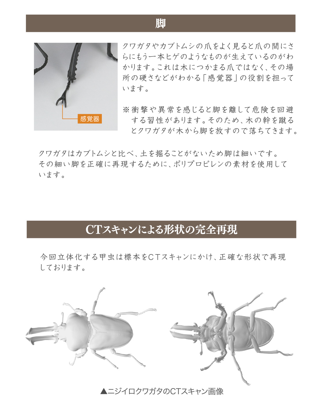 脚 CTスキャンによる形状の完全再現