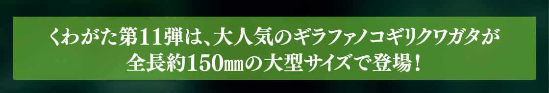 くわがた第11弾は、大人気のギラファノコギリクワガタが全長約150mmの大型サイズで登場！