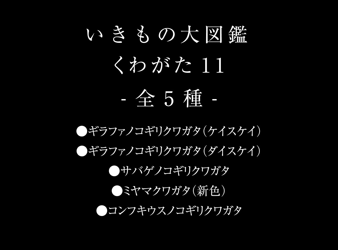 いきもの大図鑑 くわがた11 -全5種- ●ギラファノコギリクワガタ(ケイスケイ) ●ギラファノコギリクワガタ(ダイスケイ) ●サバゲノコギリクワガタ ●ミヤマクワガタ(新色) ●コンフキウスノコギリクワガタ