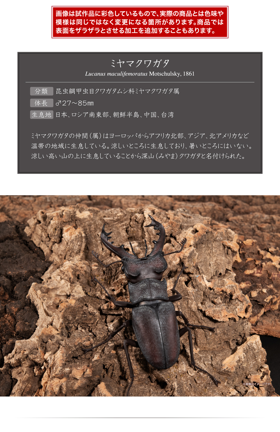 画像は試作品に彩色しているもので、実際の商品とは色味や模様は同じではなく変更になる箇所があります。商品では表面をザラザラとさせる加工を追加することもあります。