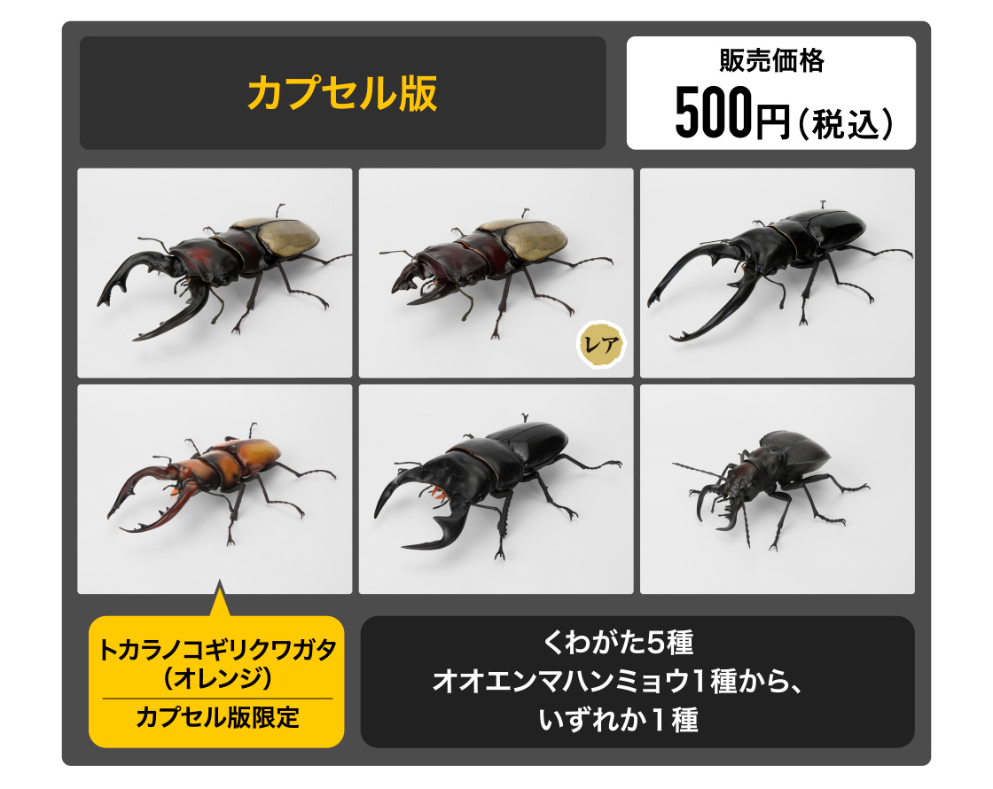 カプセル版 販売価格500円