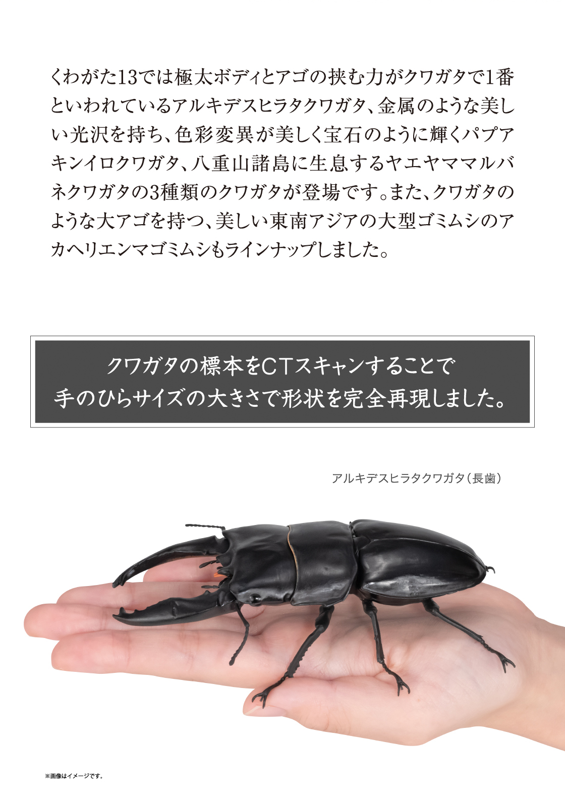 クワガタの標本をCTスキャンすることで手のひらサイズの大きさで形状を完全再現しました。