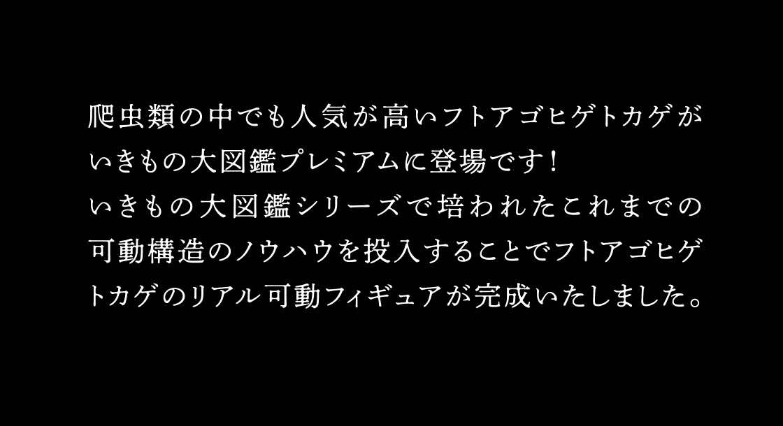 爬虫類の中でも人気が高いフトアゴヒゲトカゲがいきもの大図鑑プレミアムに登場です！いきもの大図鑑シリーズで培われたこれまでの可動構造のノウハウを投入することでフトアゴヒゲトカゲのリアル可動フィギュアが完成いたしました。