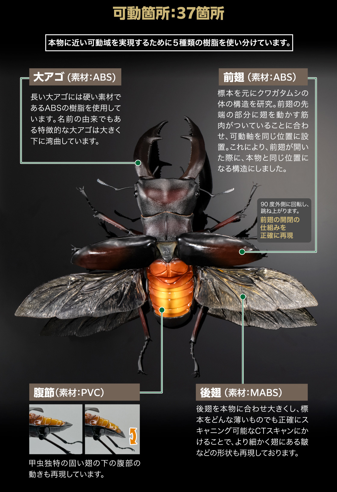 可動箇所：37箇所　大アゴ(素材：ABS) 前翅(素材：ABS) 腹節(素材：PVC) 後翅(素材：MABS)