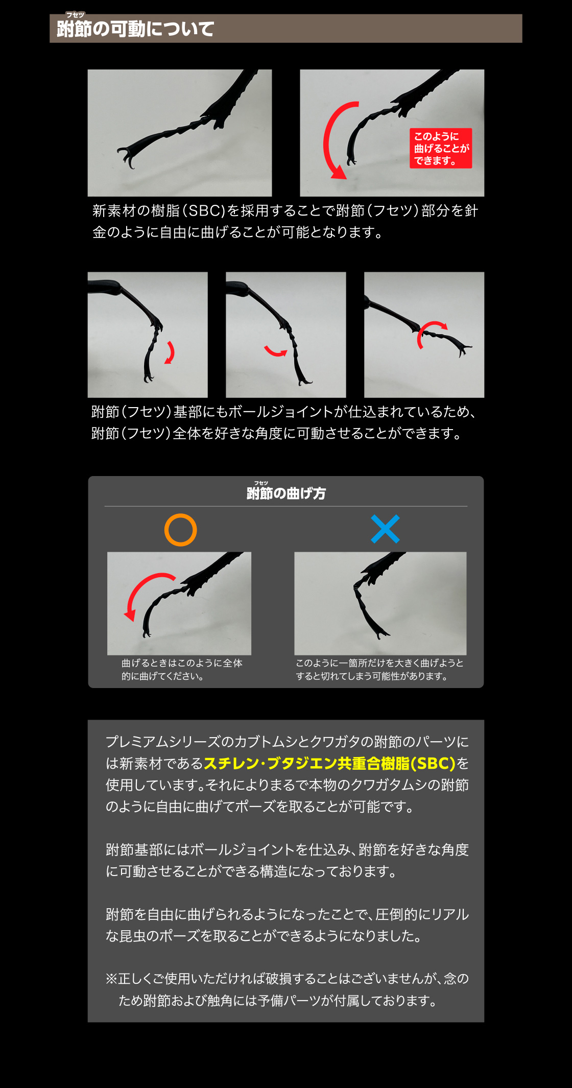 跗節の可動について