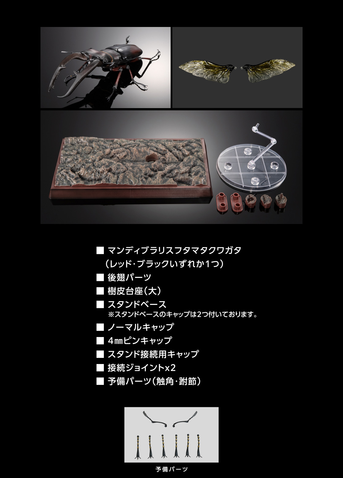 ■マンディブラリスフタマタクワガタ(レッド・ブラックいずれか1つ) ■後翅パーツ ■樹皮台座(大) ■スタンドベース※スタンドベースのキャップは2つ付いております。 ■ノーマルキャップ ■4mmピンキャップ ■スタンド接続用キャップ ■接続ジョイント×2 ■予備パーツ(触角・跗節)