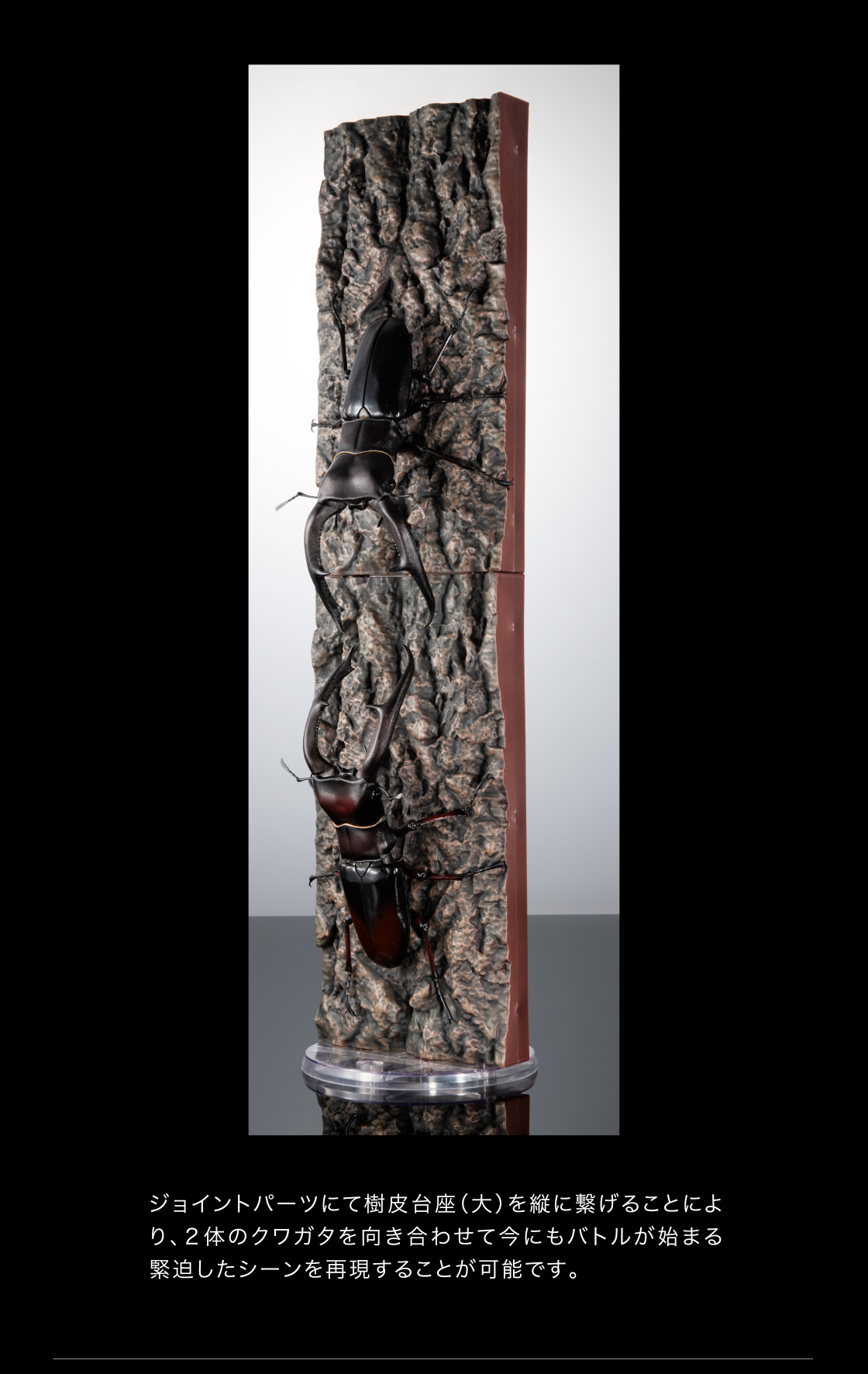 ジョイントパーツにて樹皮台座(大)を縦に繋げることにより、2体のクワガタを向き合わせて今もバトルが始まる緊迫したシーンを再現することが可能です。