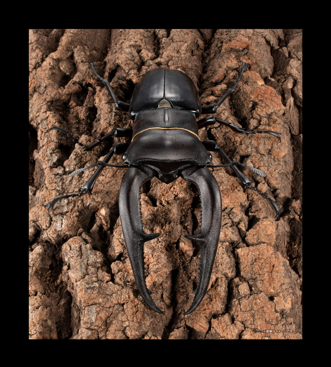 ※画像はイメージです。