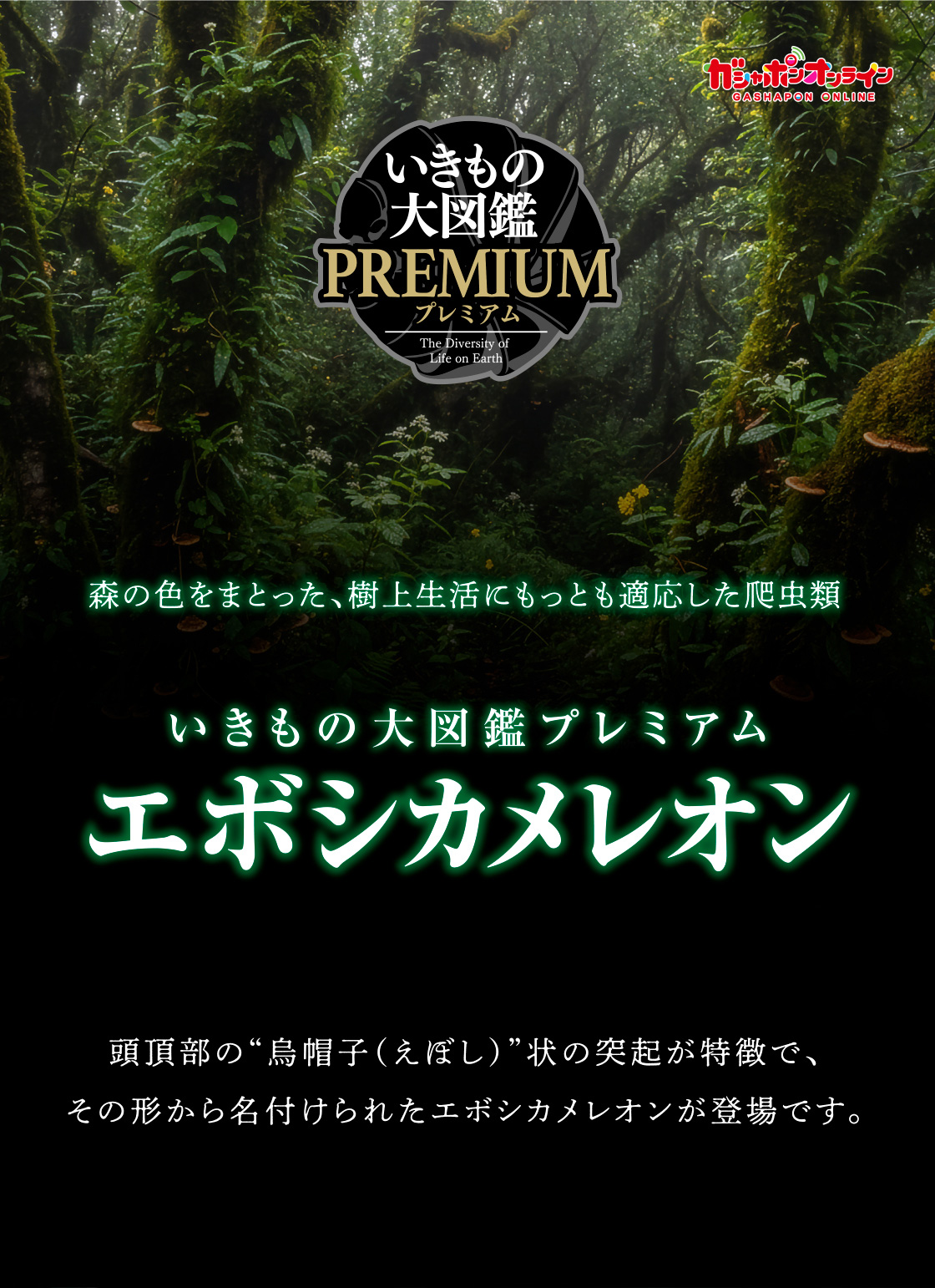 森の色をまとった、樹上生活にもっとも適応した爬虫類 いきもの大図鑑プレミアム エボシカメレオン