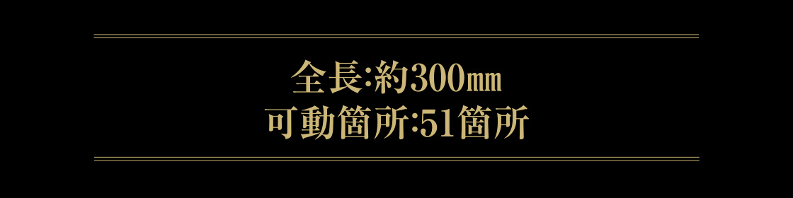 全長：約300mm　可動箇所：51箇所