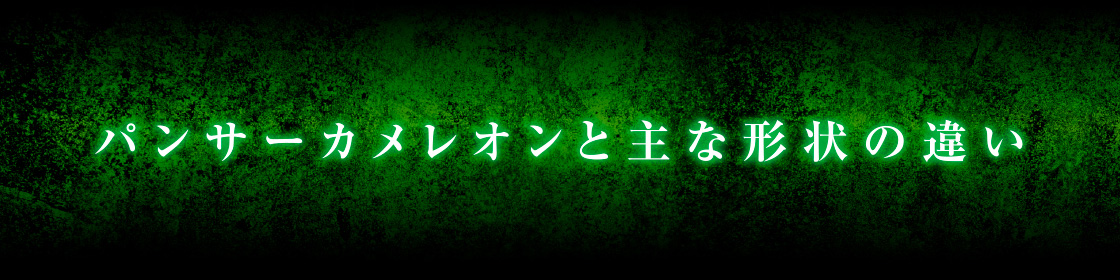パンサーカメレオンと主な形状の違い