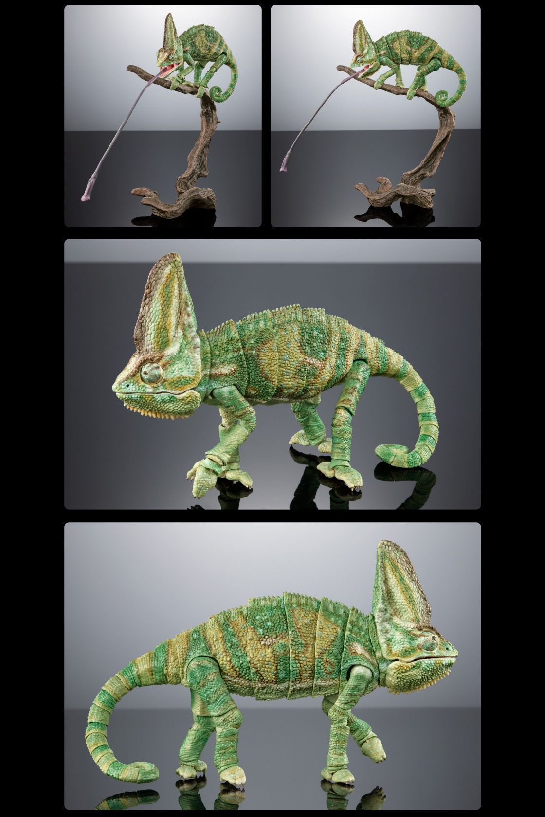 エボシカメレオン イメージ