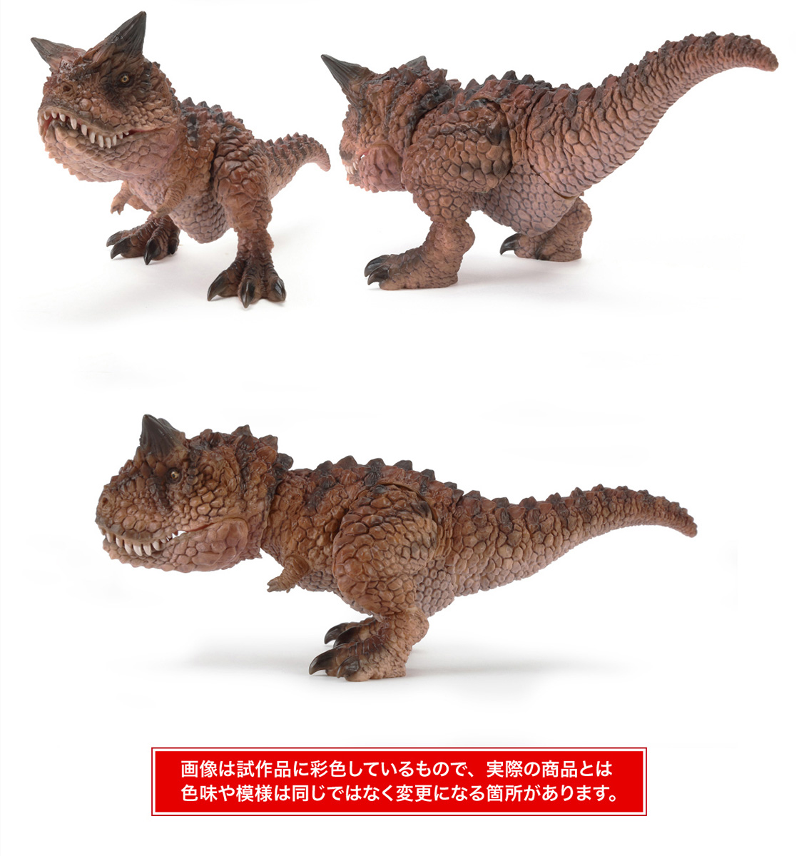 カルノタウルス 画像は試作品に彩色しているもので、実際の商品とは色味や模様は同じではなく変更になる箇所があります。