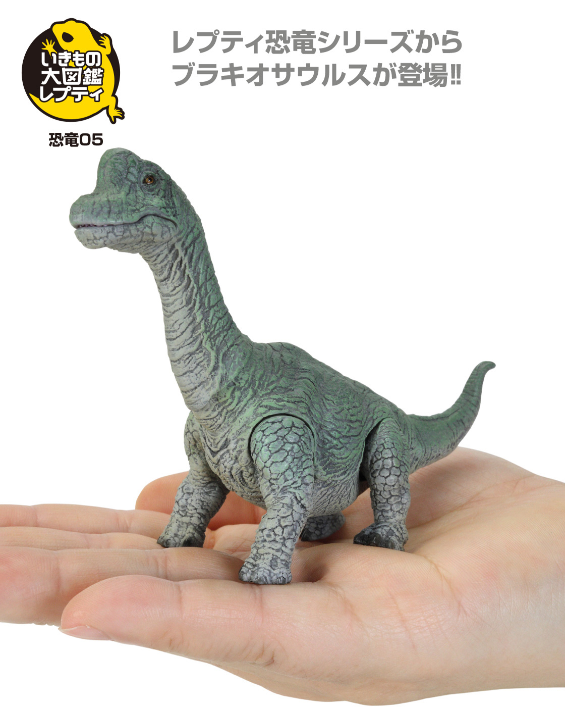 レプティ恐竜シリーズからブラキオサウルスが登場！！