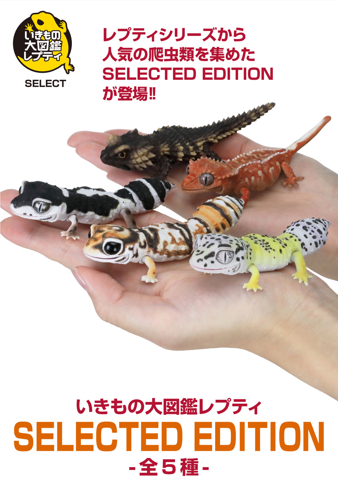 レプティシリーズから人気の爬虫類を集めたSELECTED EDITIONが登場！ いきもの大図鑑レプティ SELECTED EDITION -全5種-