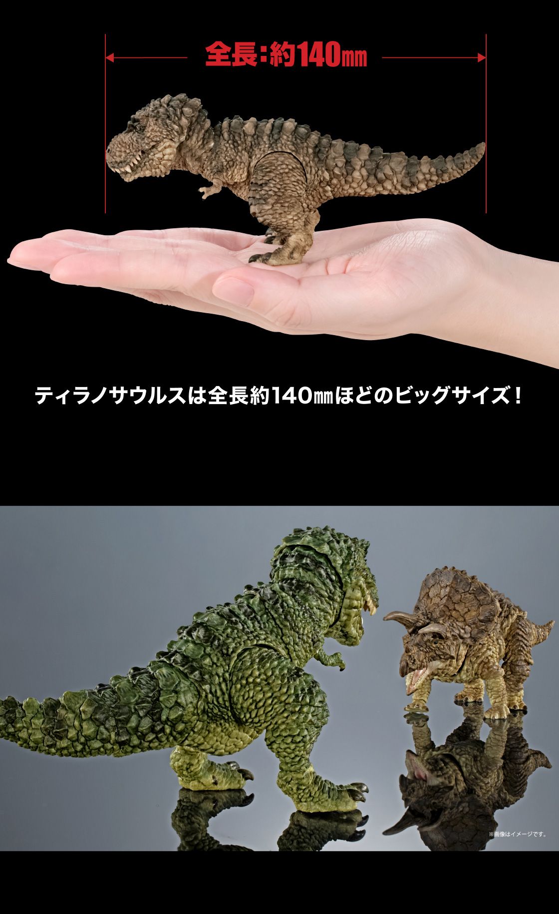 全長：約140mm ティラノサウルスは全長約140mmほどのビッグサイズ！
