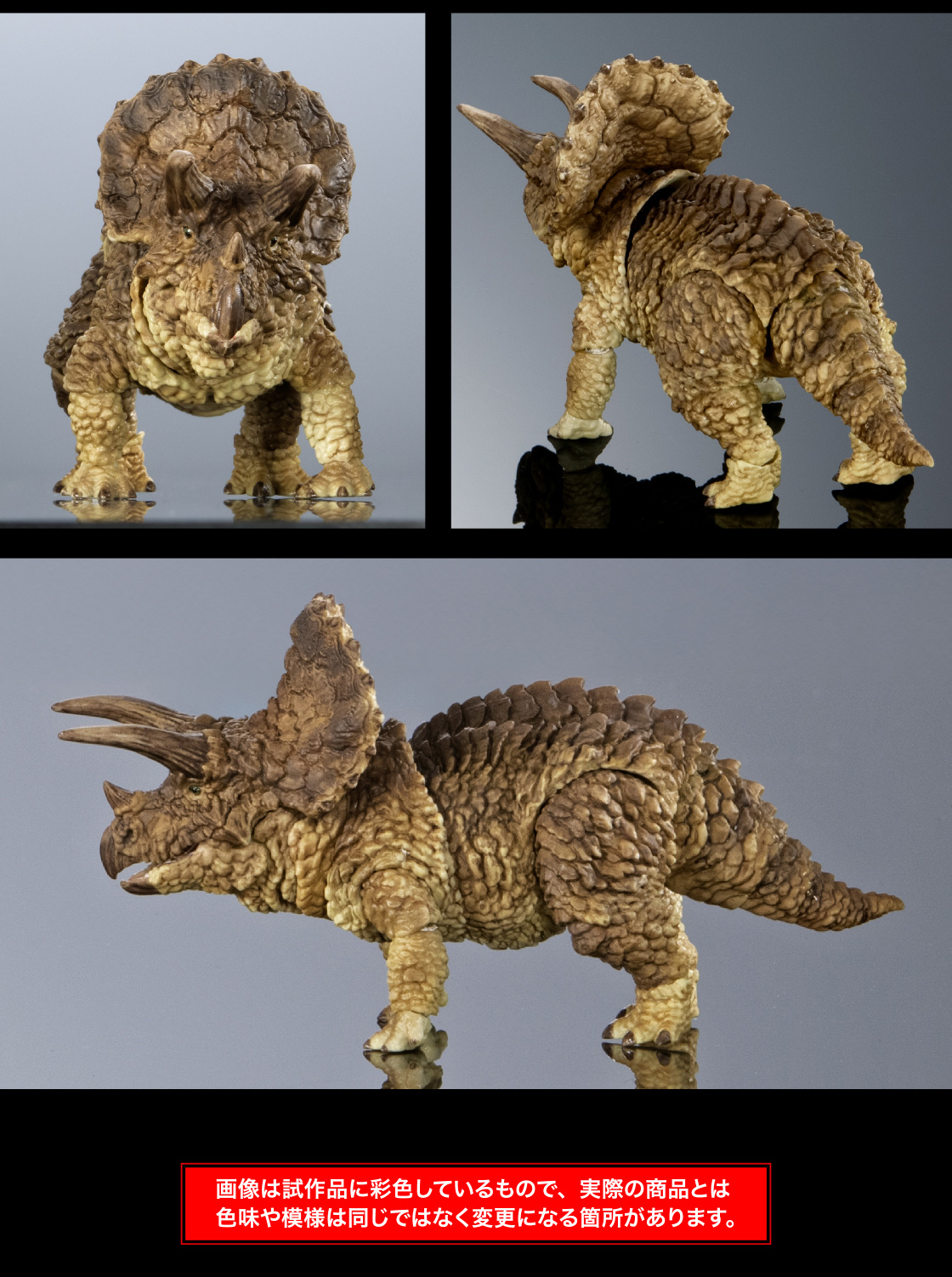 トリケラトプス(ブラウン) 画像は試作品に彩色しているもので、実際の商品とは色味や模様は同じではなく変更になる箇所があります。