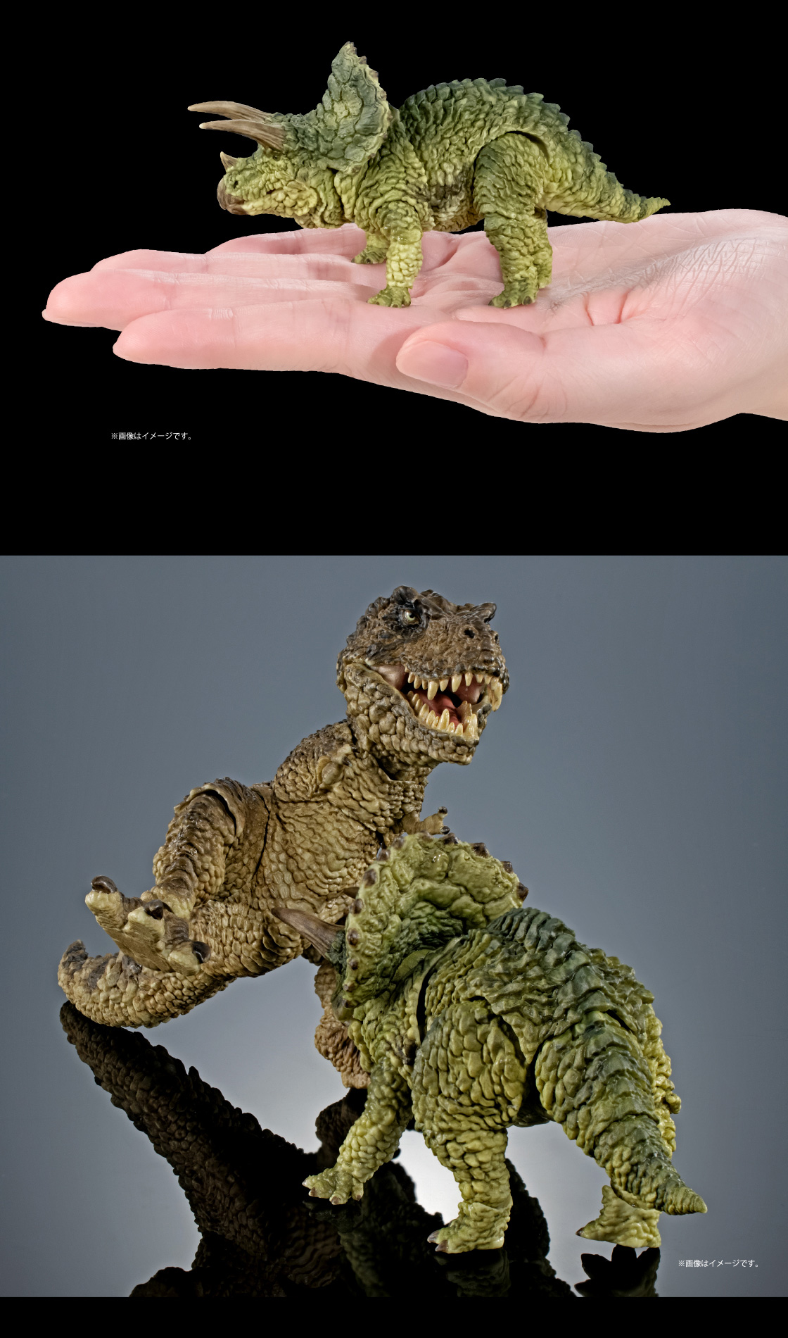 トリケラトプス ※画像はイメージです。