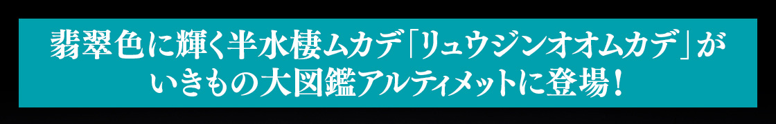 翡翠色に輝く半水棲ムカデ「リュウジンオオムカデ」がいきもの大図鑑アルティメットに登場！