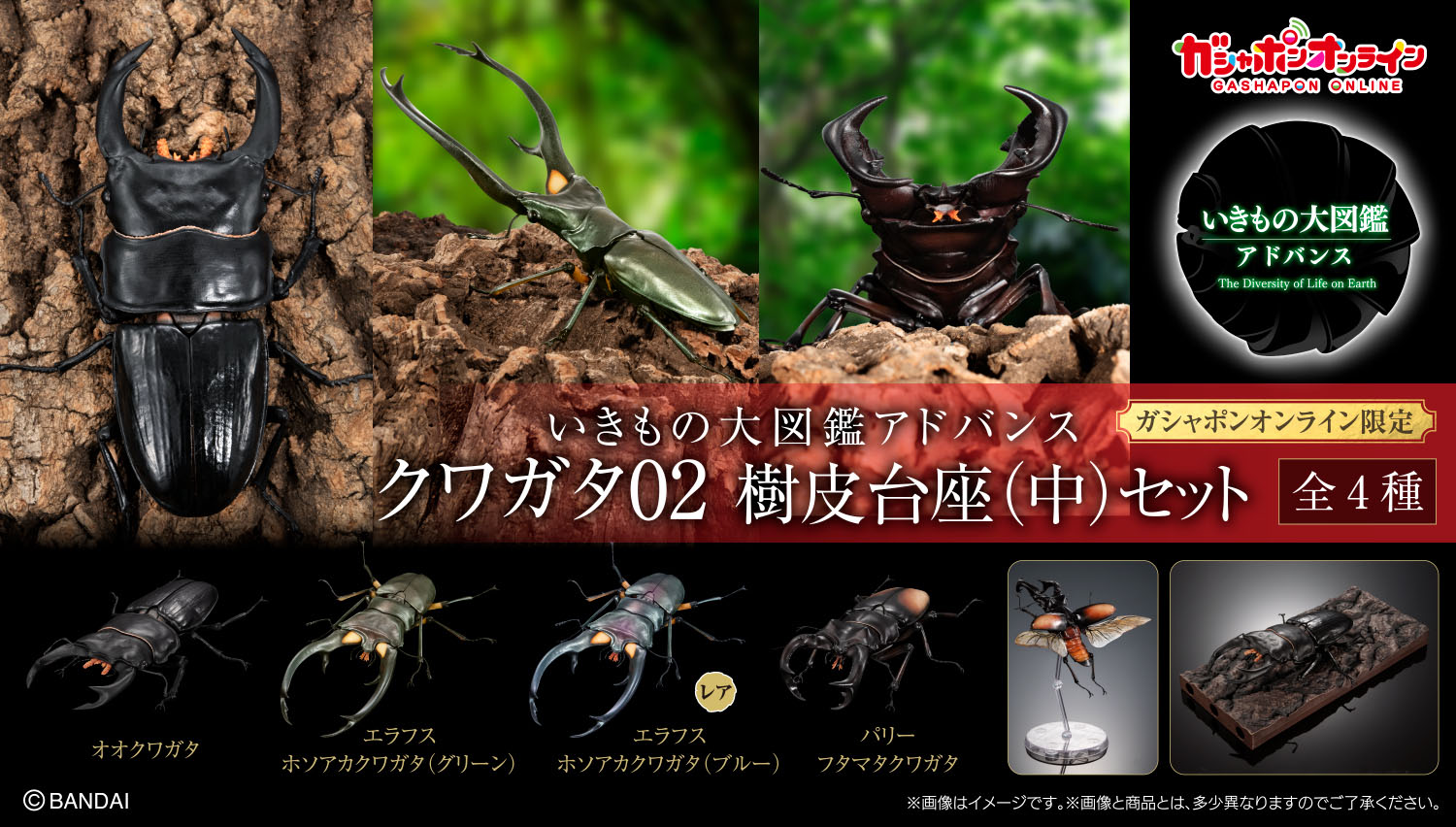 いきもの大図鑑アドバンス クワガタ02 樹皮台座（中）セット