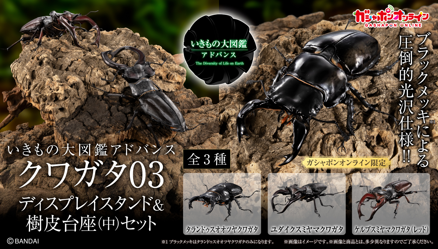 いきもの大図鑑アドバンス　クワガタ０３　樹皮台座（中）セット