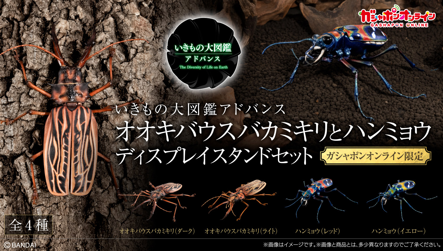 いきもの大図鑑アドバンス オオキバウスバカミキリとハンミョウ ディスプレイスタンドセット