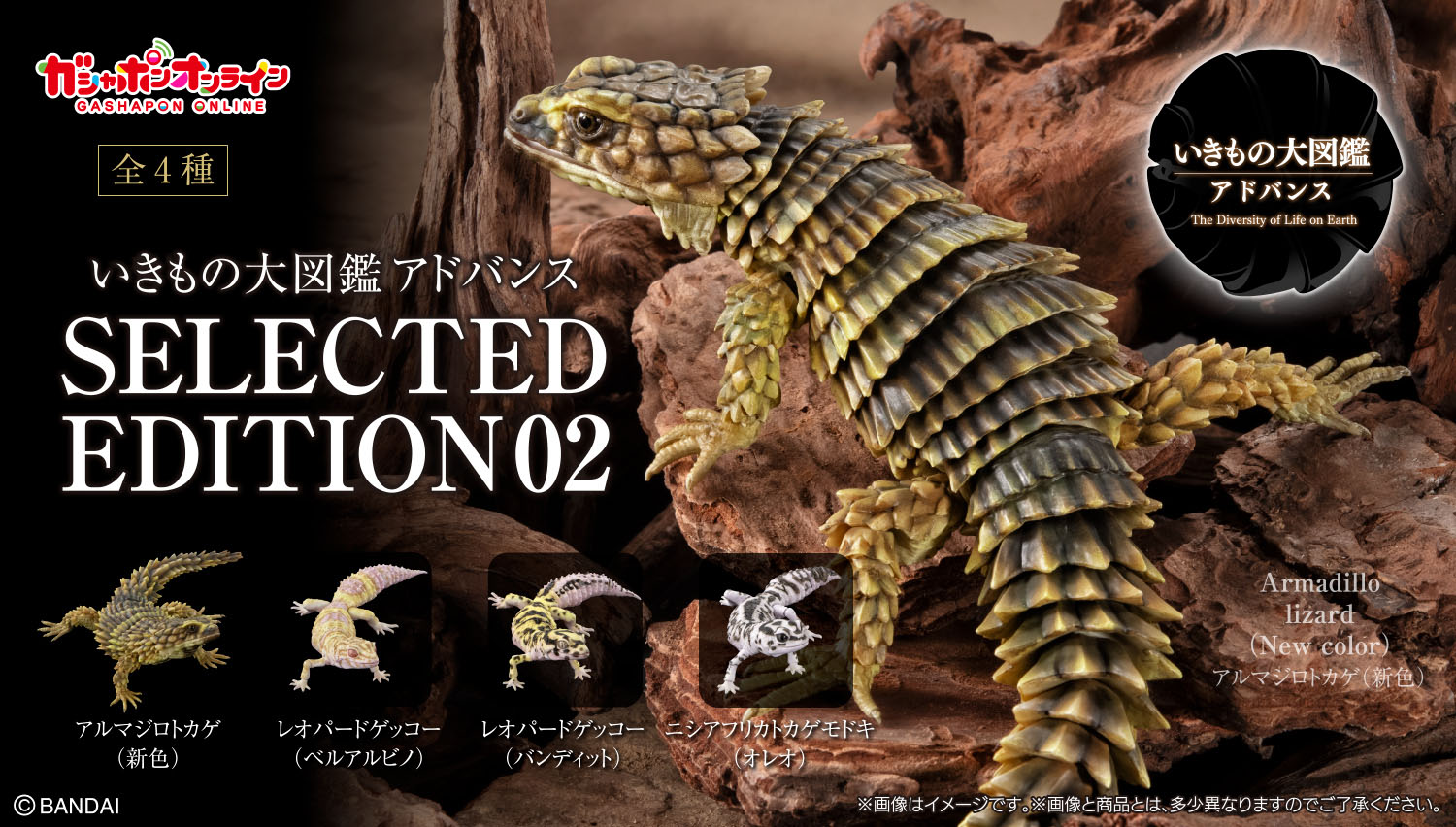 いきもの大図鑑アドバンス SELECTED EDITION 02
