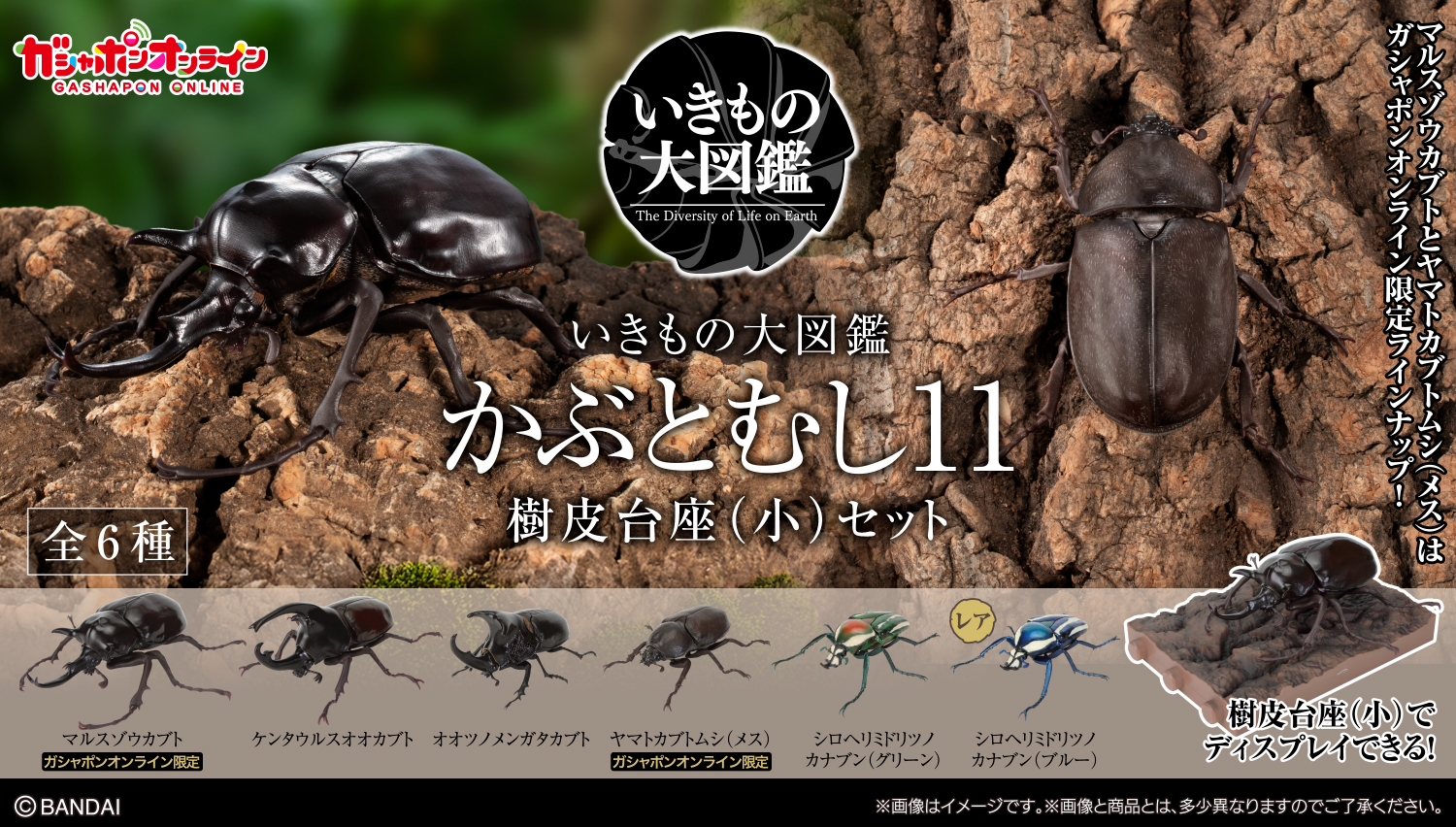 いきもの大図鑑 かぶとむし11 樹皮台座（小）セット