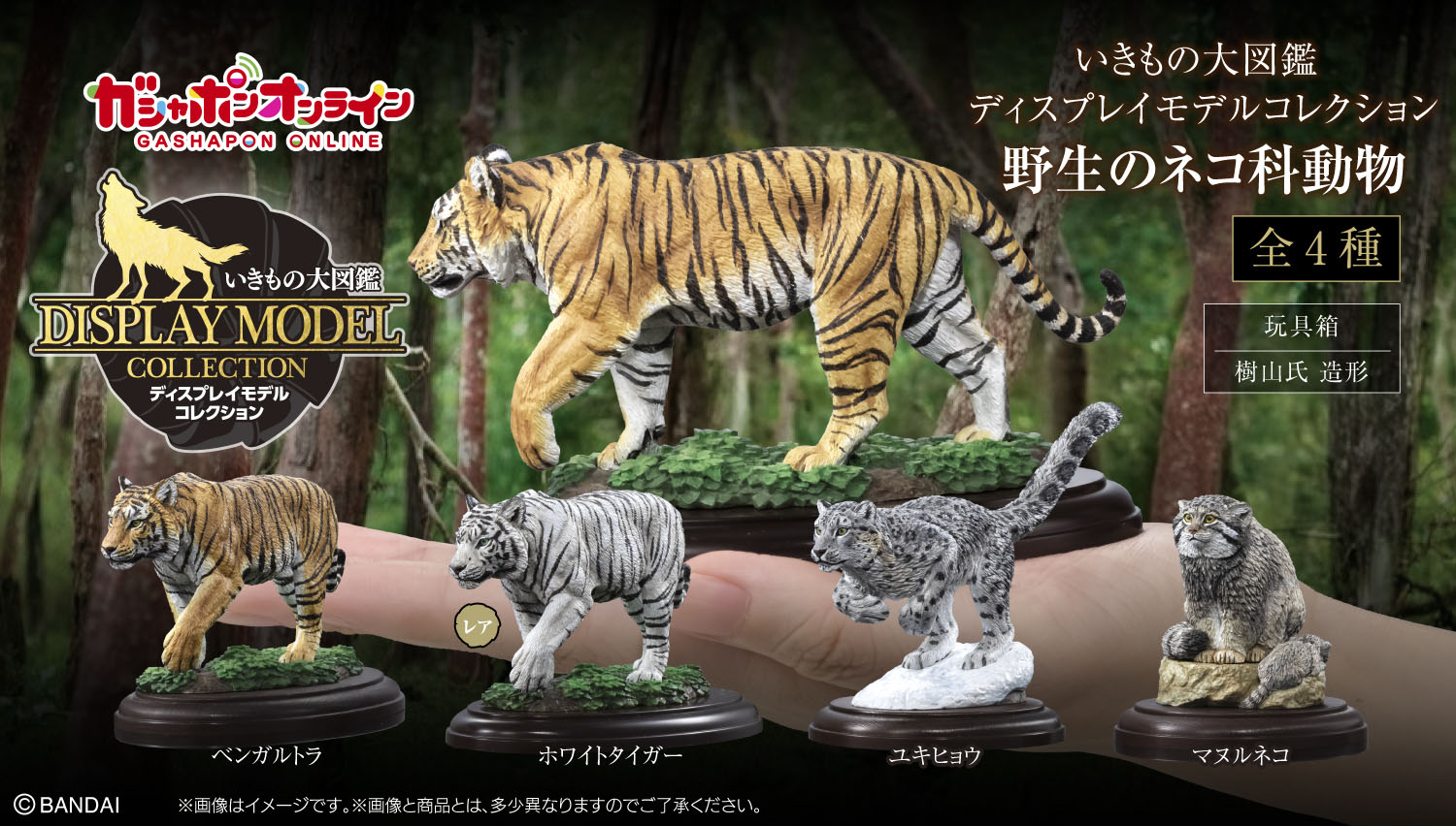 いきもの大図鑑ディスプレイモデルコレクション 野生のネコ科動物