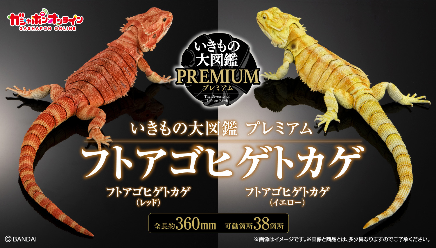 いきもの大図鑑プレミアム フトアゴヒゲトカゲ（イエロー・レッド）