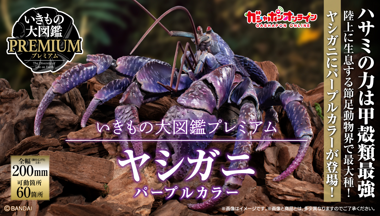 いきもの大図鑑プレミアム ヤシガニ（パープル）