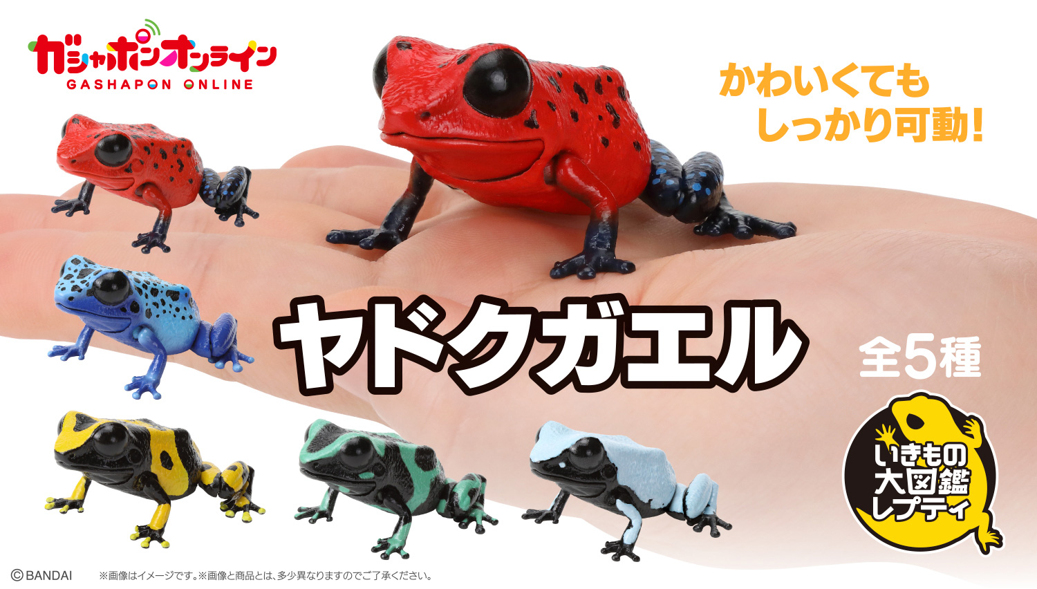 いきもの大図鑑レプティ ヤドクガエル