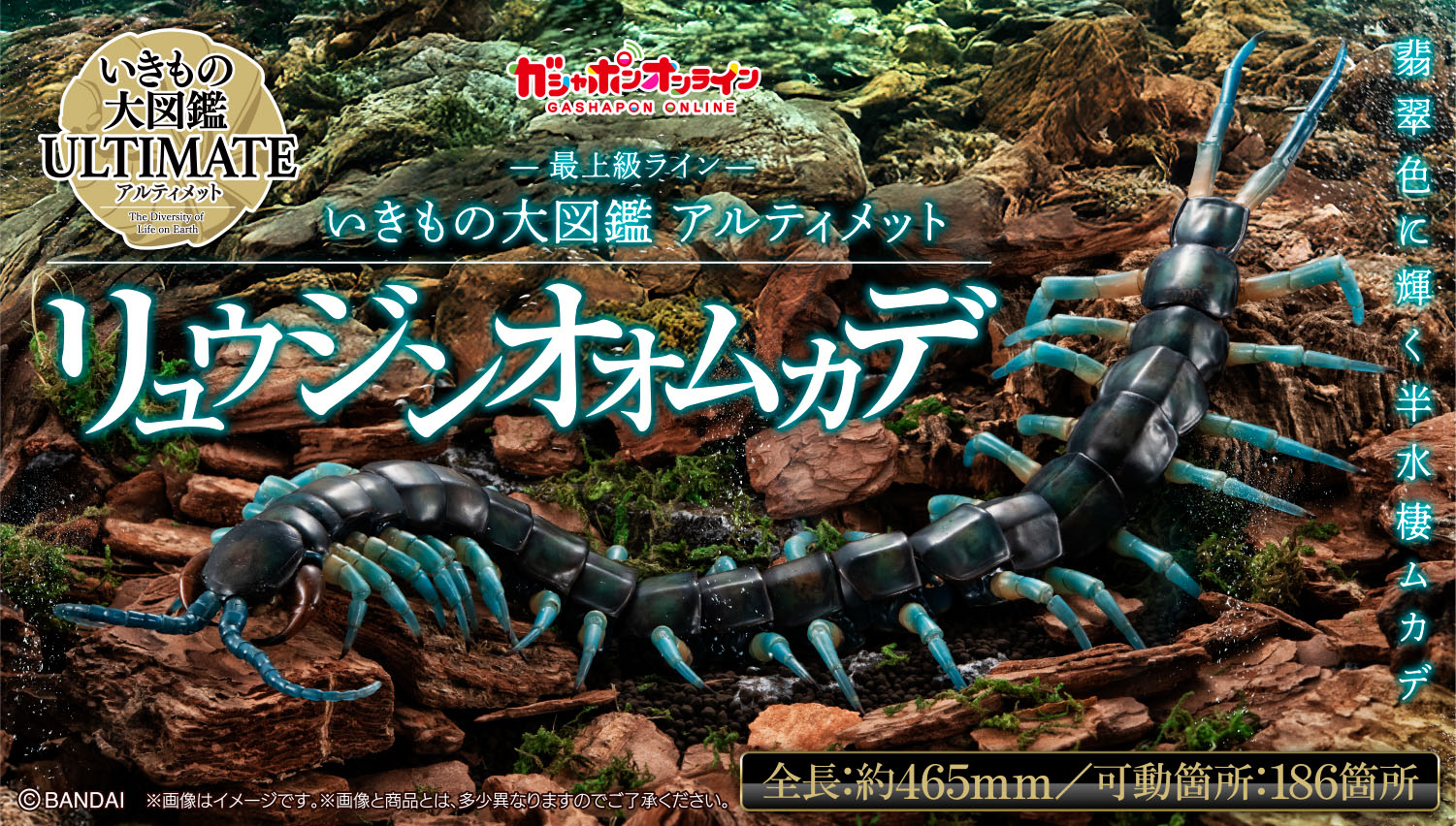 いきもの大図鑑アルティメット リュウジンオオムカデ