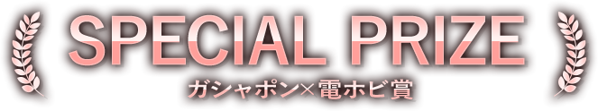 SPECIAL PRIZE ガシャポン×電ホビ賞