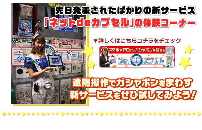 ネットdeカプセル