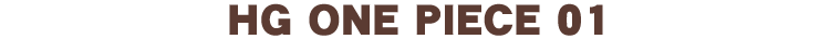 HG ONE PIECE 01